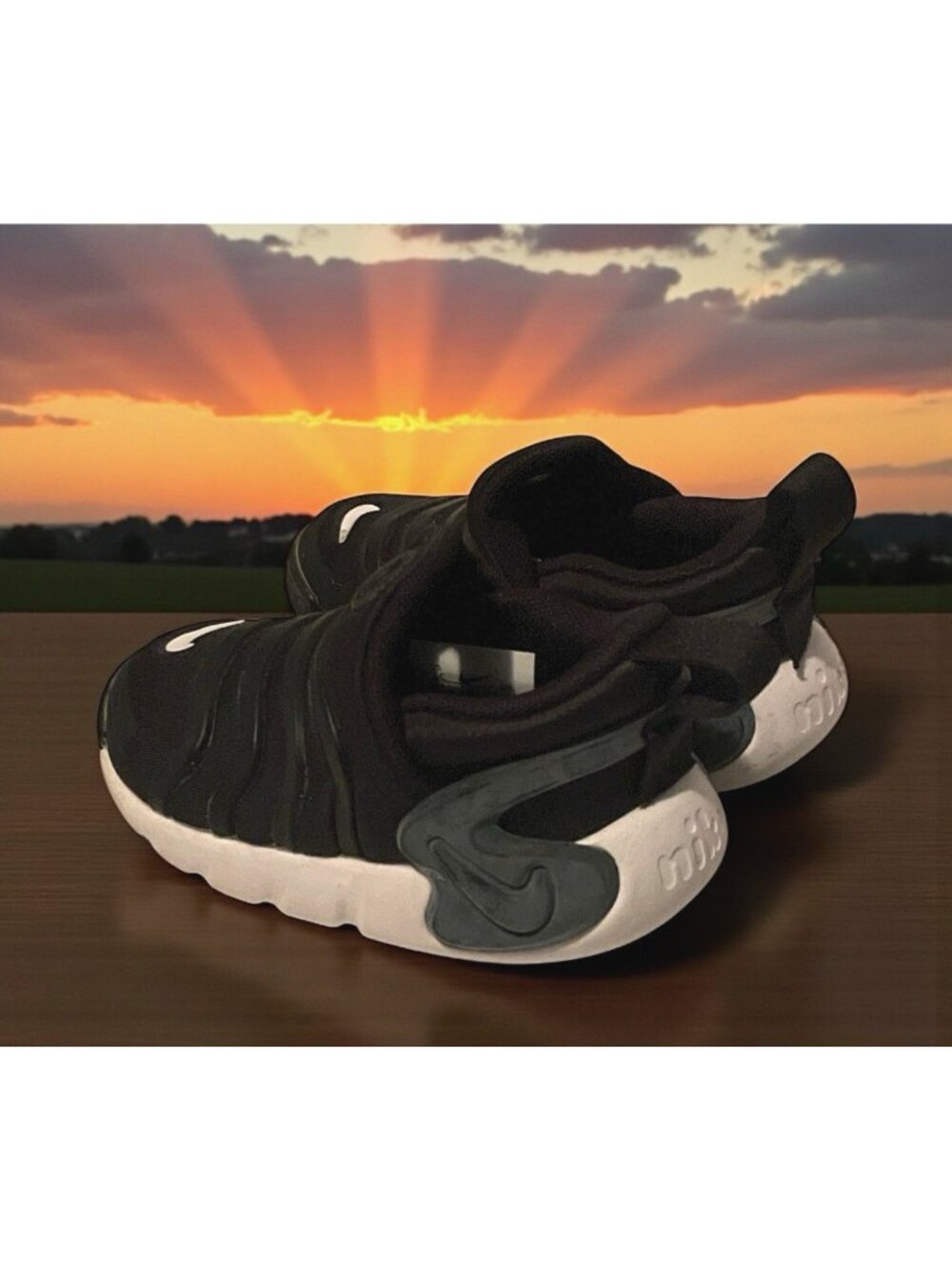 Nike Dynamo Go Boys Sneakers Toddler Size 5C Black White DH3438-001